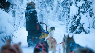 On a husky safari with Harriniva Safaris