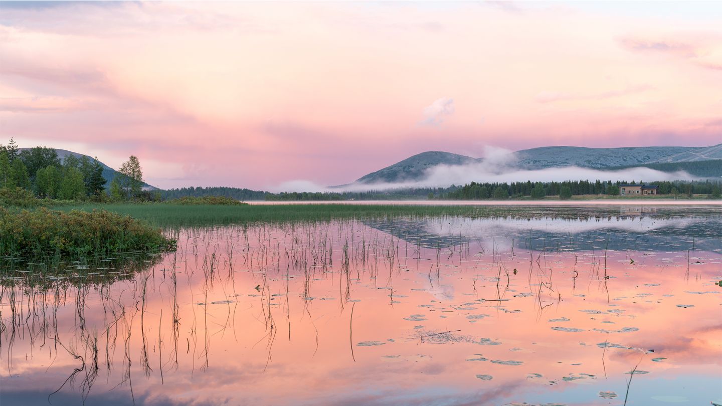 Summer in Lapland, pink moment