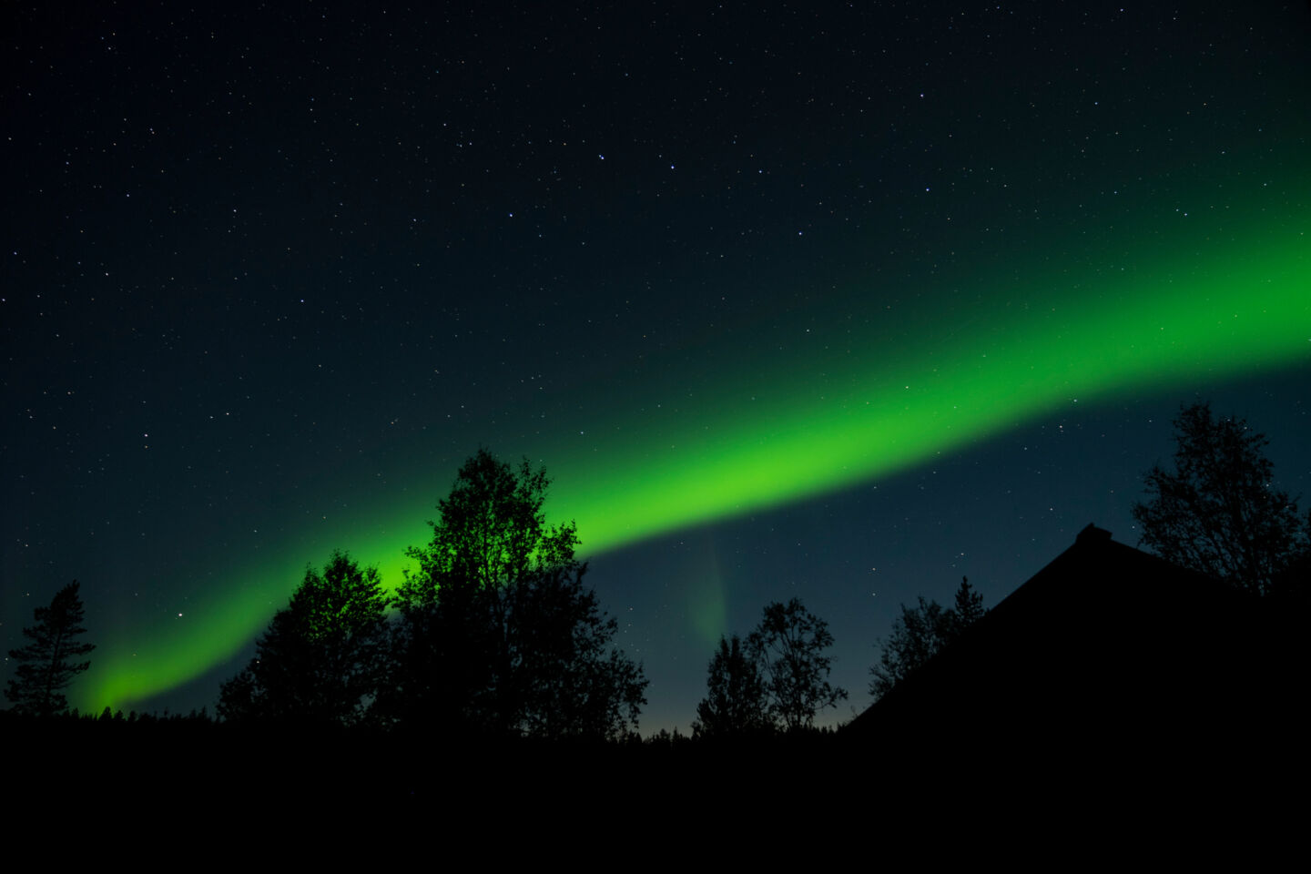 Northern Lights over Hammastunturi Wilderness Area in winter in Inari-Saariselkä, Finland