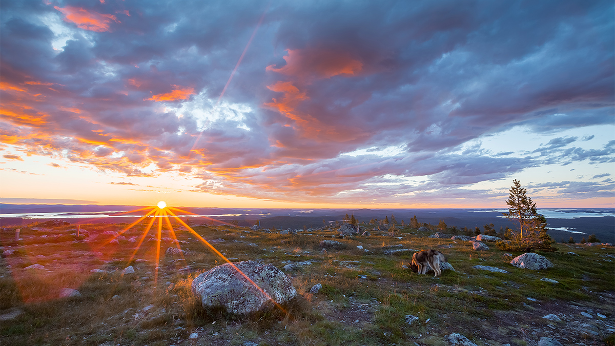 Summer in Lapland, magical Nightless Night