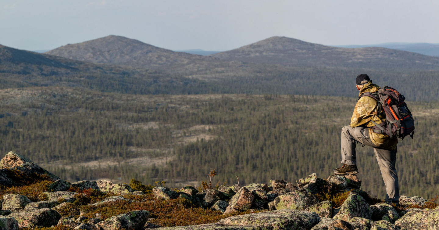 Sompio Strict Nature Reserve in summer in Sompio, Finland