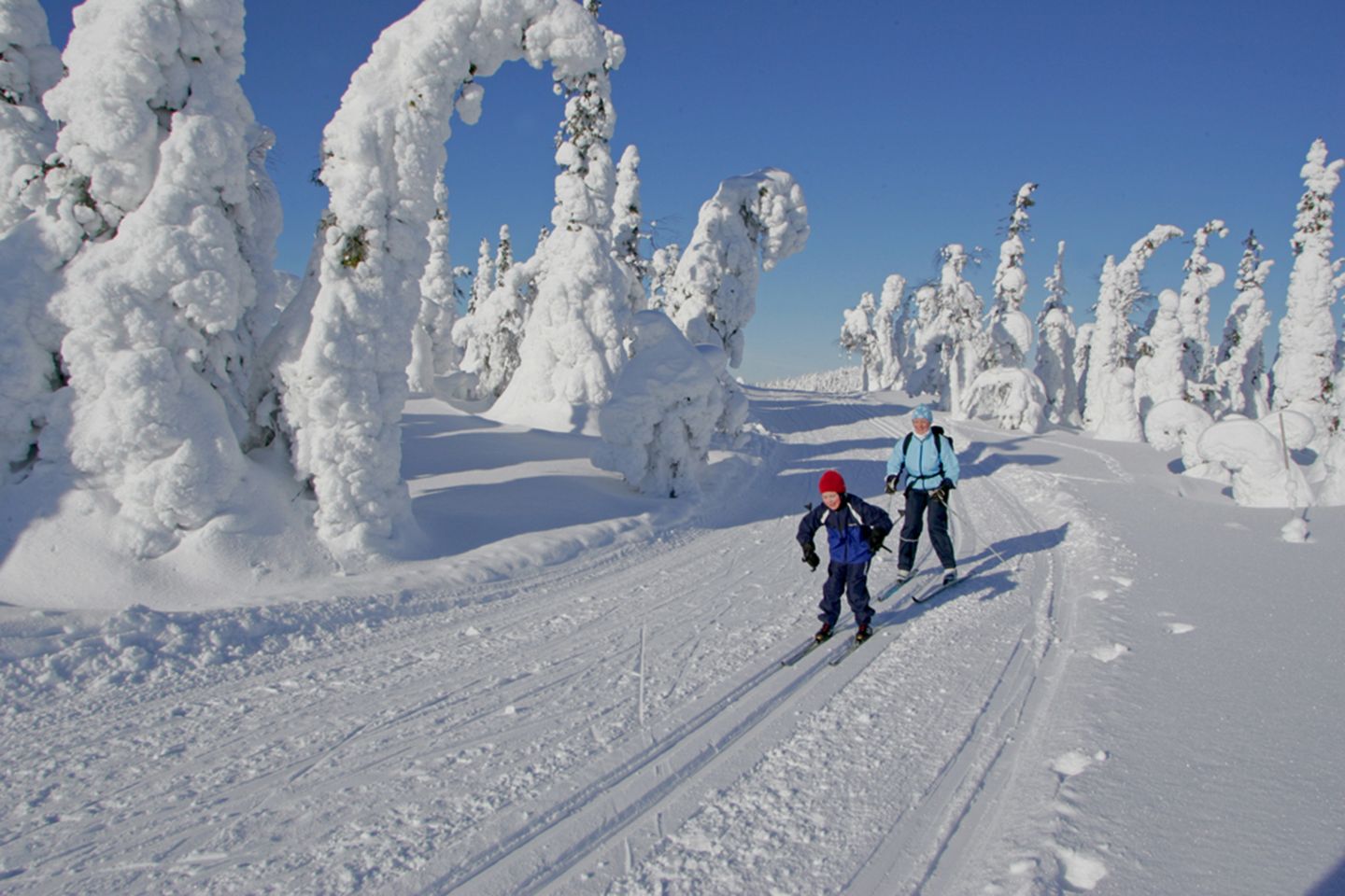 Skiing on a snowy, winter day in Arctic Lapland
