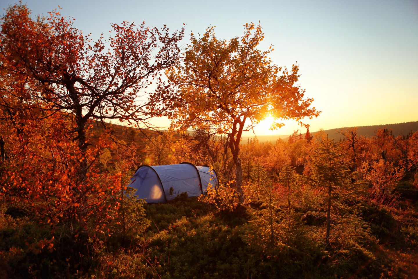 Camping in Lapland wilderness