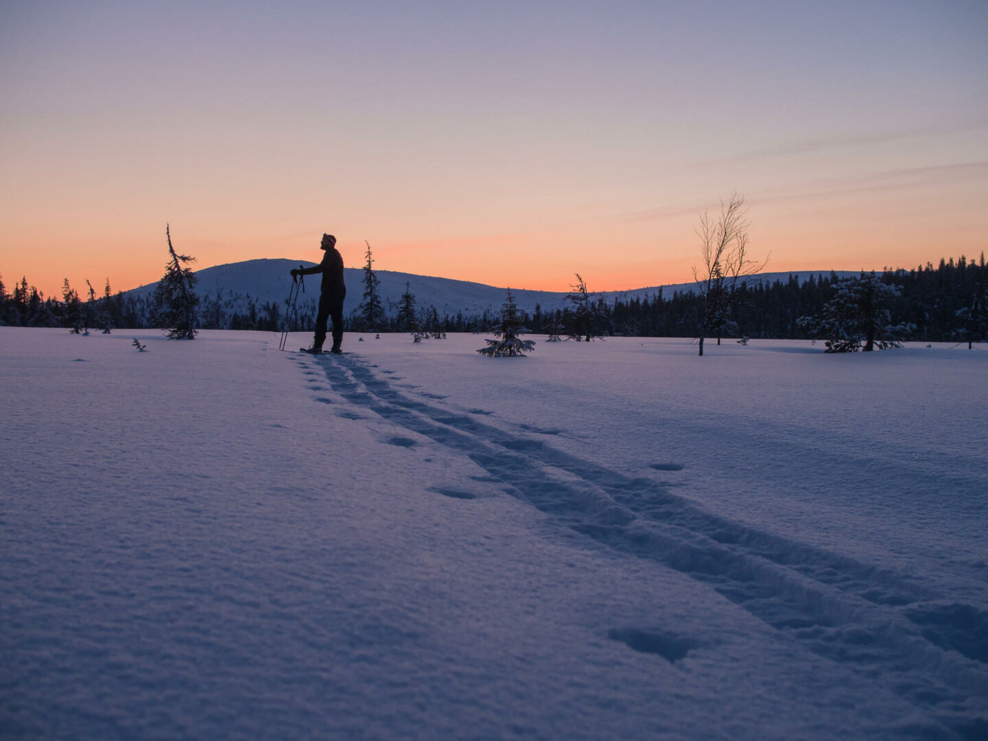 Polar night, one of the unique Arctic light conditions found in Finnish Lapland