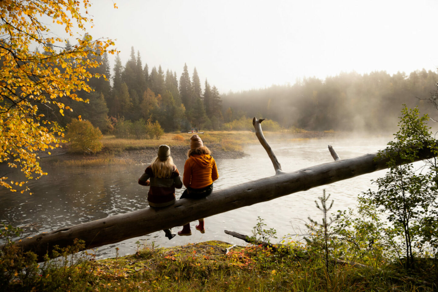 Oulanka National Park in autumn in Ruka-Kuusamo, Finland