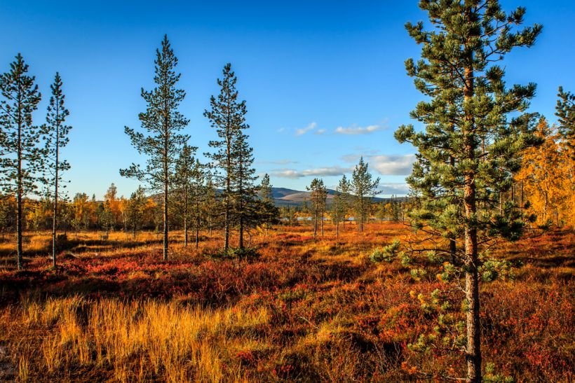 Visit unique nature destinations in Finnish Lapland ...