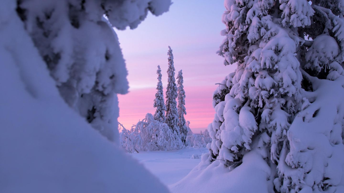 polar night in Lapland