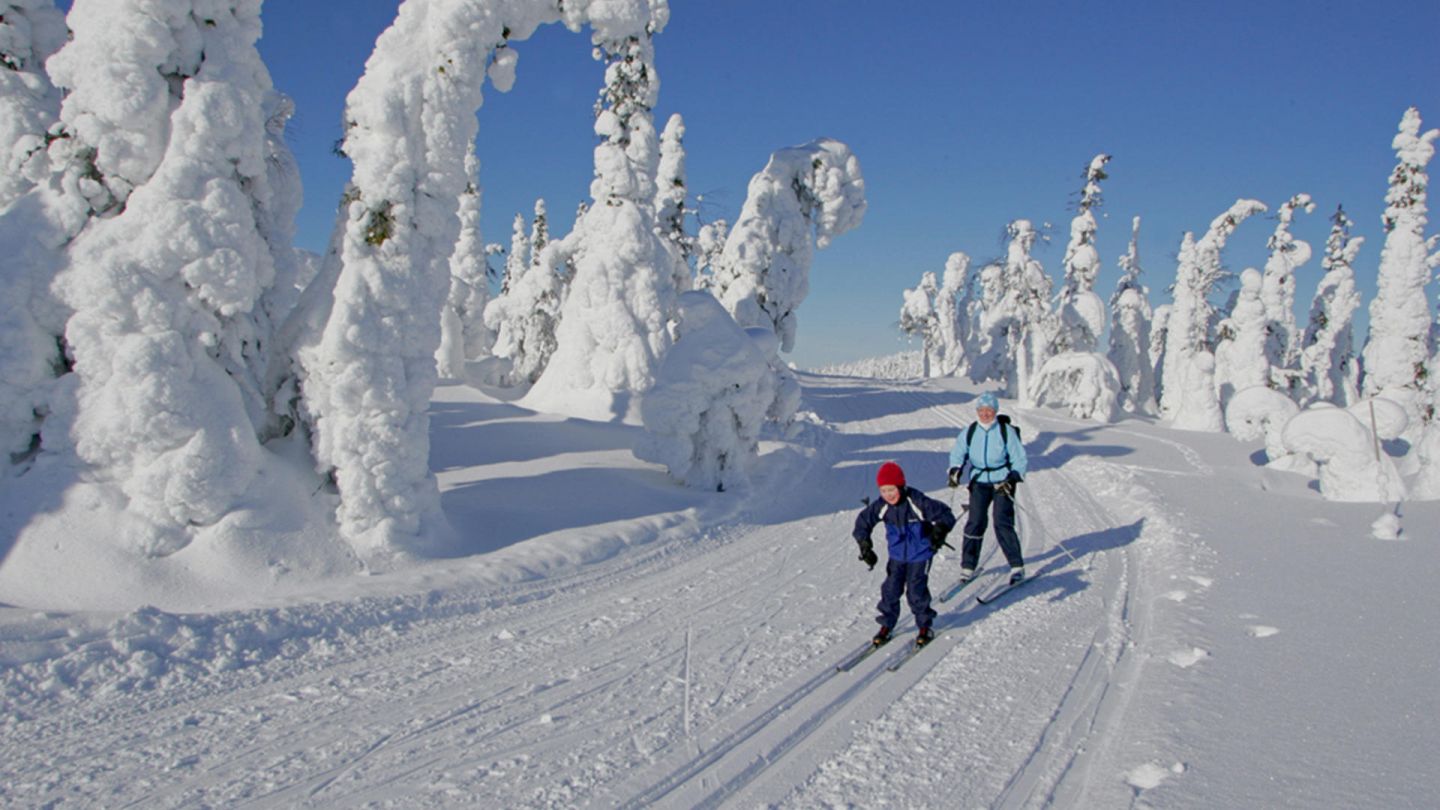cross-country skiing in Lapland