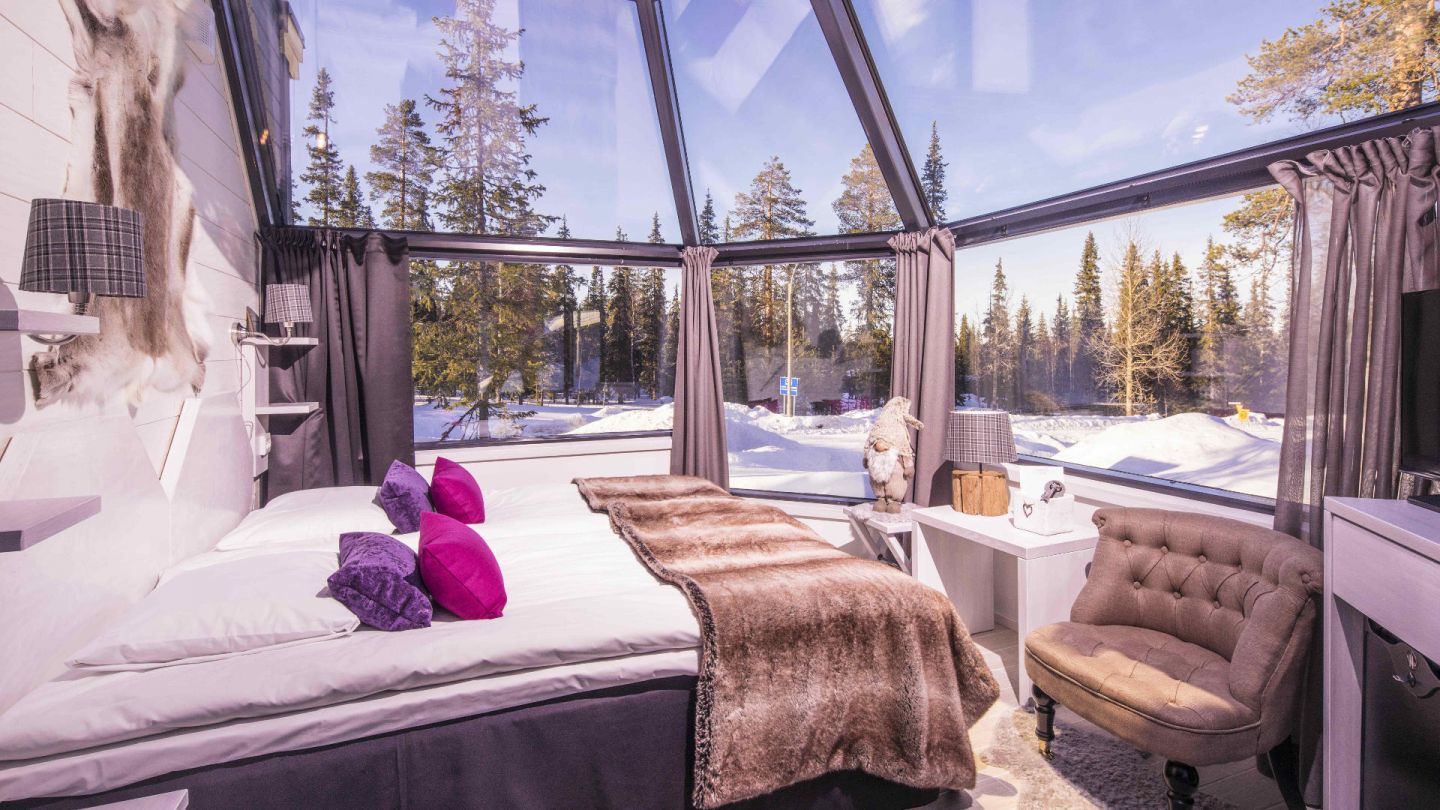 Watch the beautiful night sky in Arctic glass igloos at Santa's Aurora Hotel