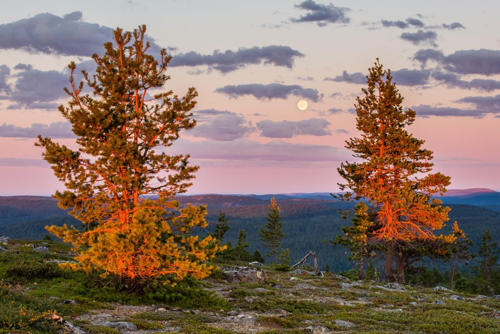 midnight sun and moon in Lapland