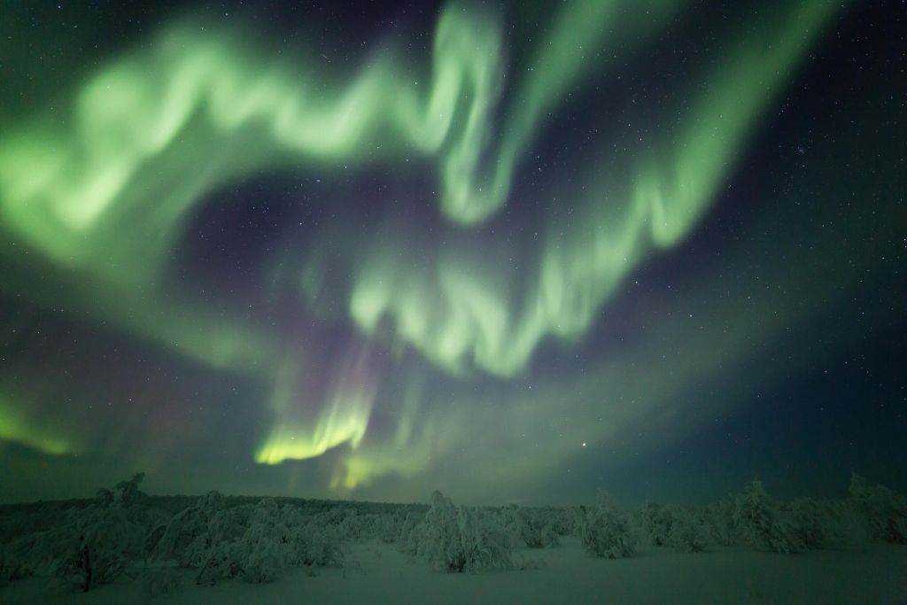 northern lights in Lapland