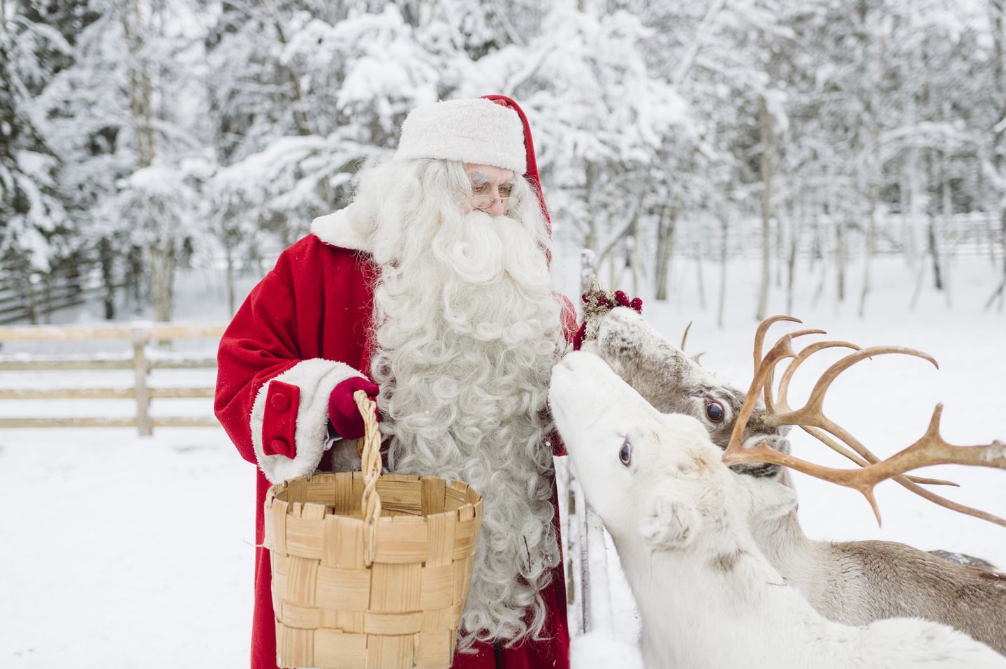 lapland visit to santa claus