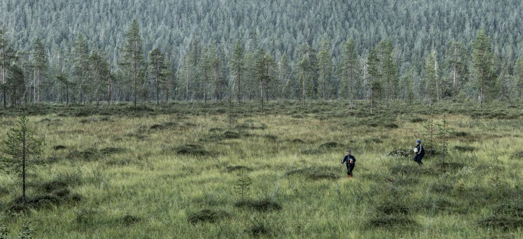 heavy rain fall in Lapland wilderness