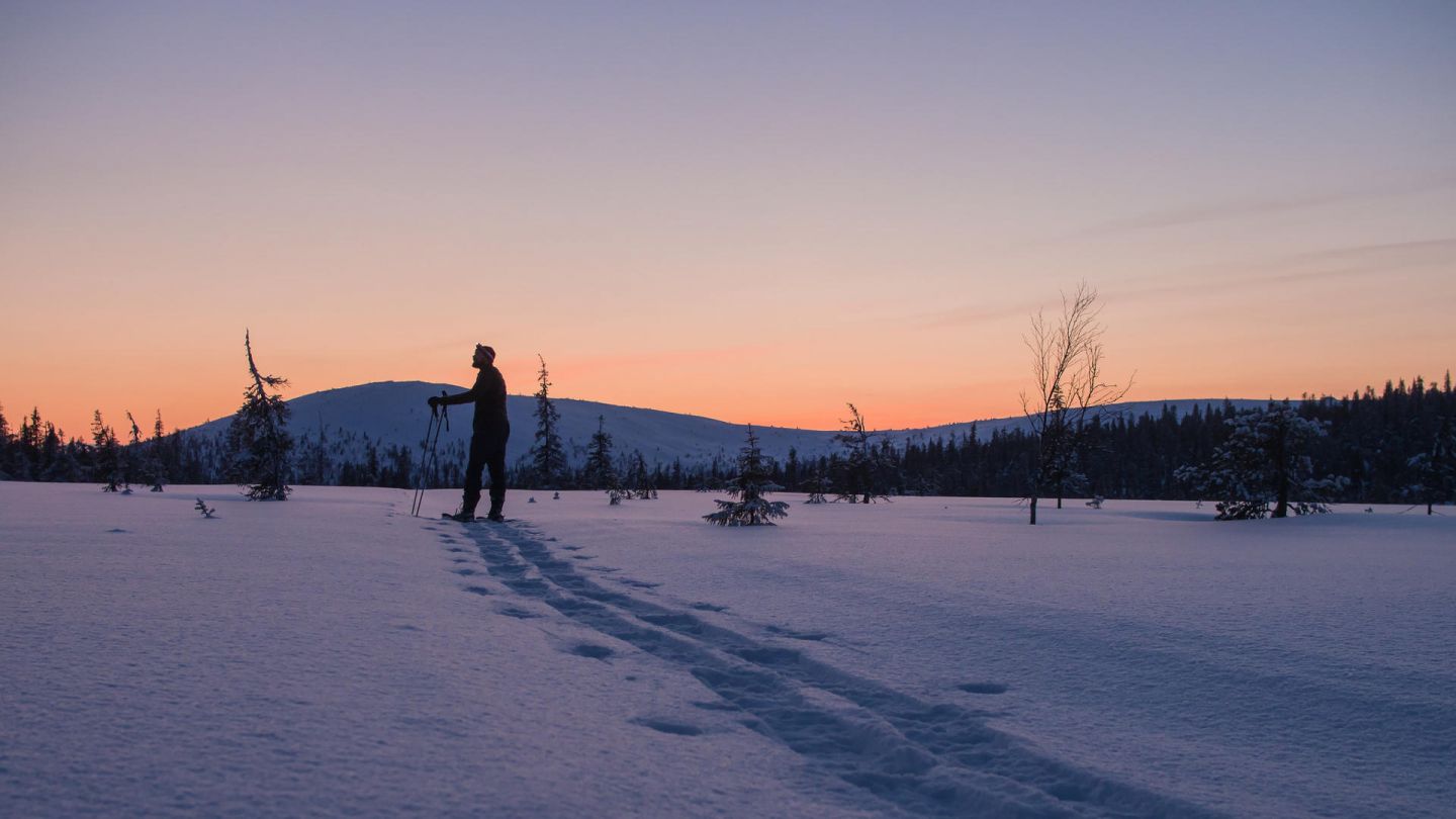 Lonely trek in Lapland