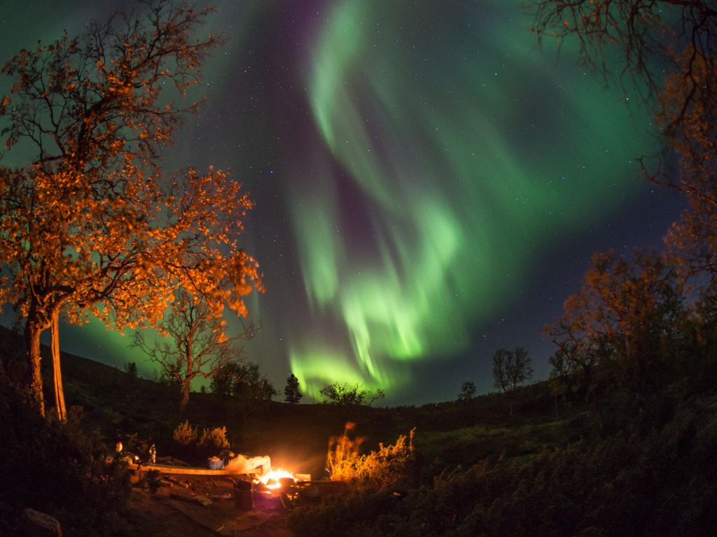 northern lights & campfire in Lapland