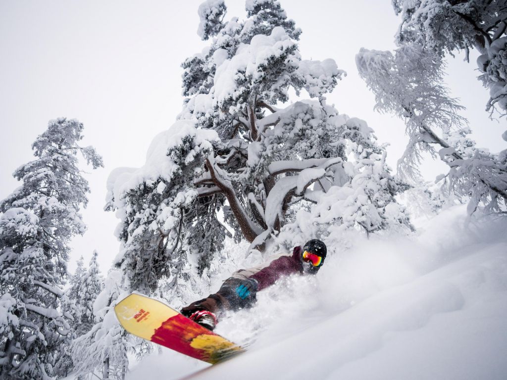 snowboarding in Lapland