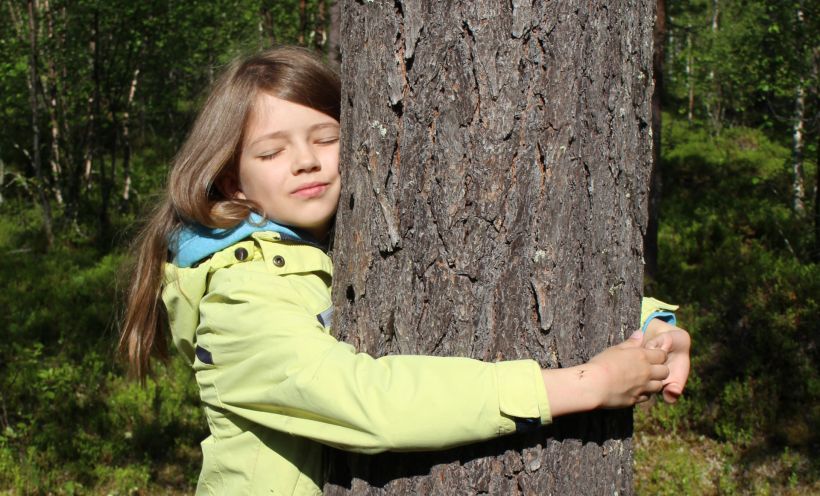 Halipuu for the welfare of arctic forests