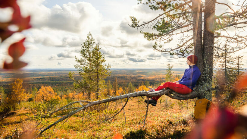 Nainen istuu puunoksalla