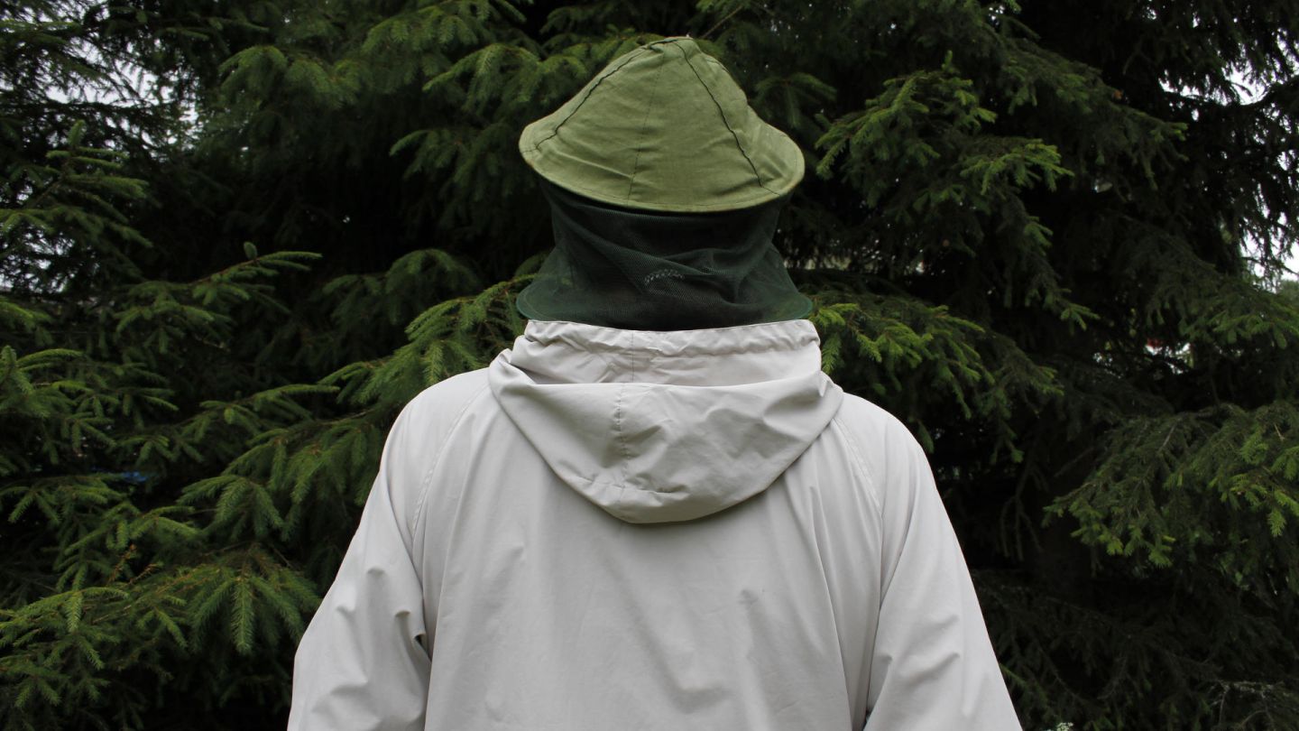 Mosquito hat