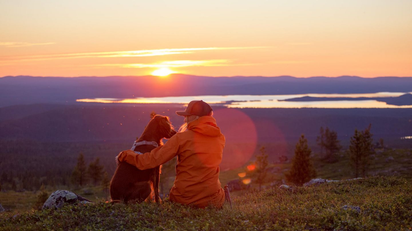 sunrise in Lapland