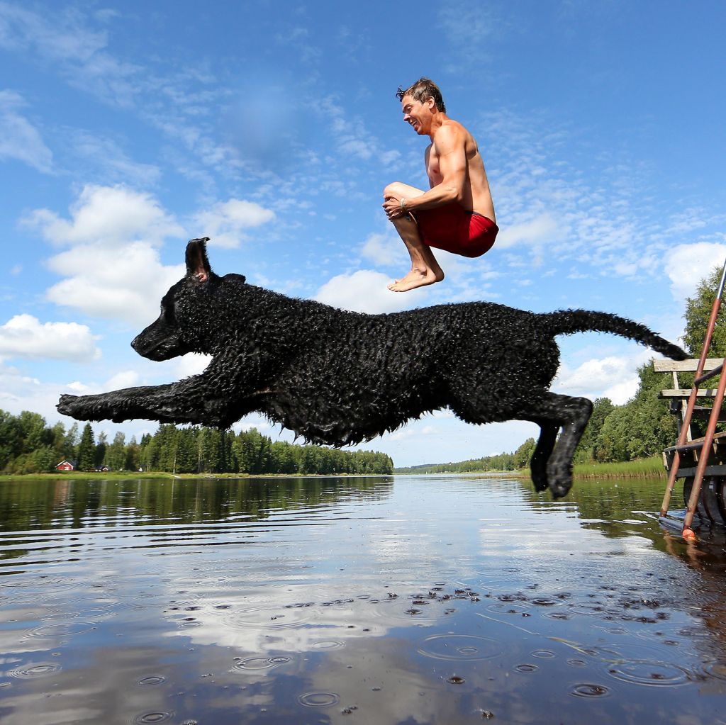 Photographer and dog jump into Lapland river