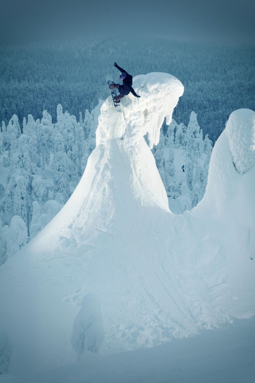 Snowboarding on the treetops | finland photographer dog