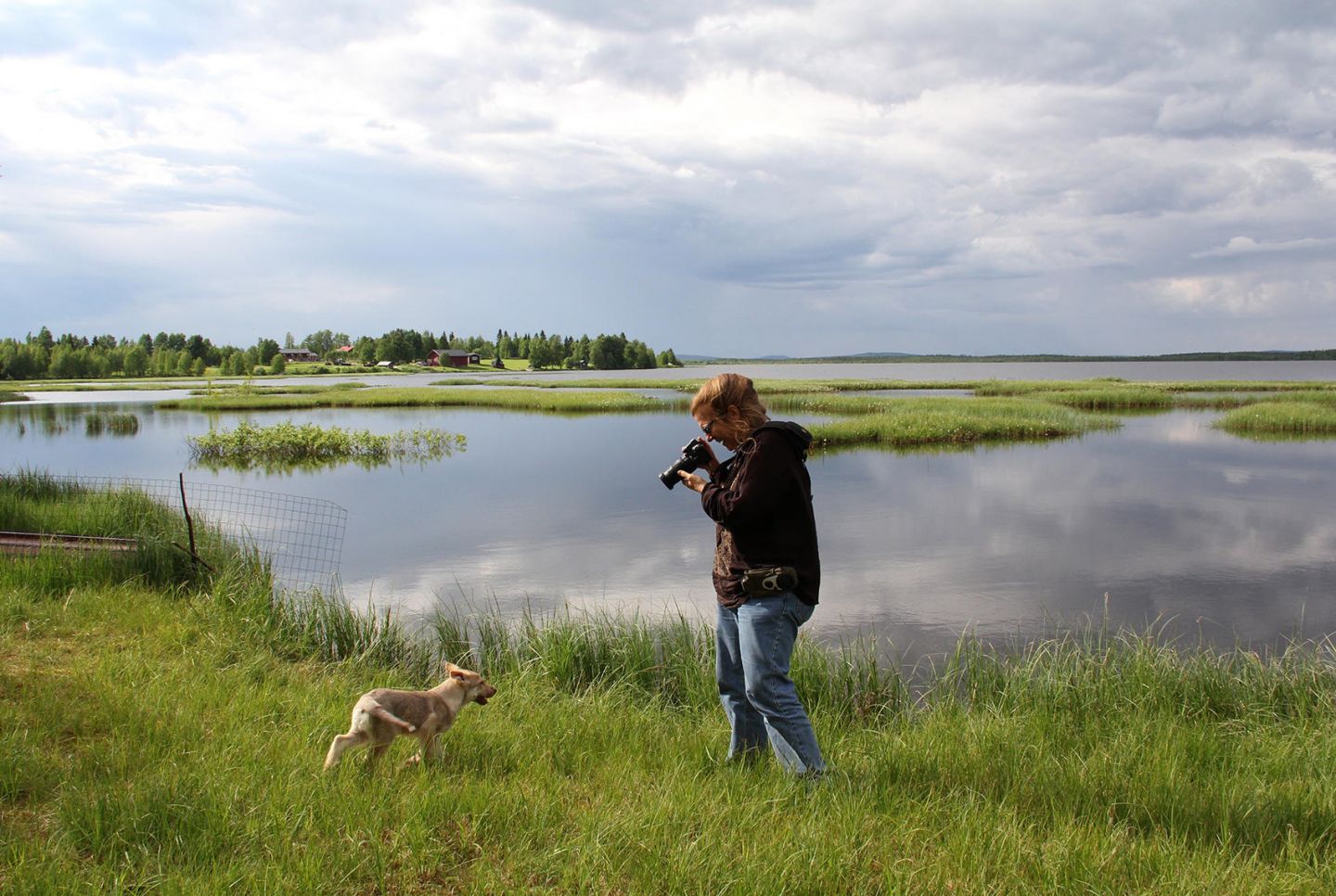 Location scout Lori Balton photographs a dog by a Lapland lake, during a fam trip with location scout Lori Balton