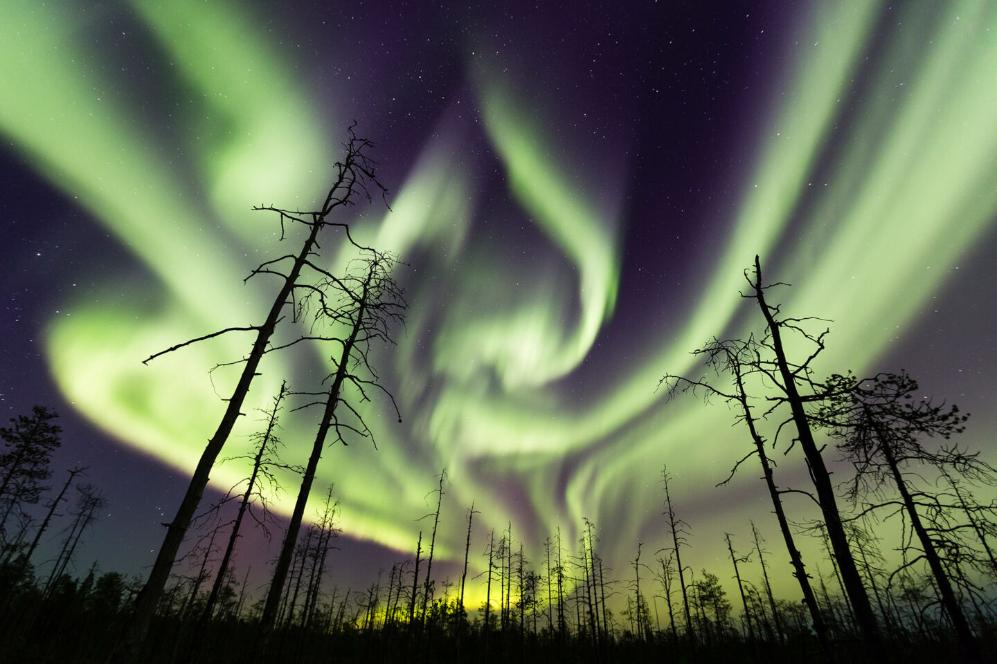 Auroras light up the sky over the Arctic Circle