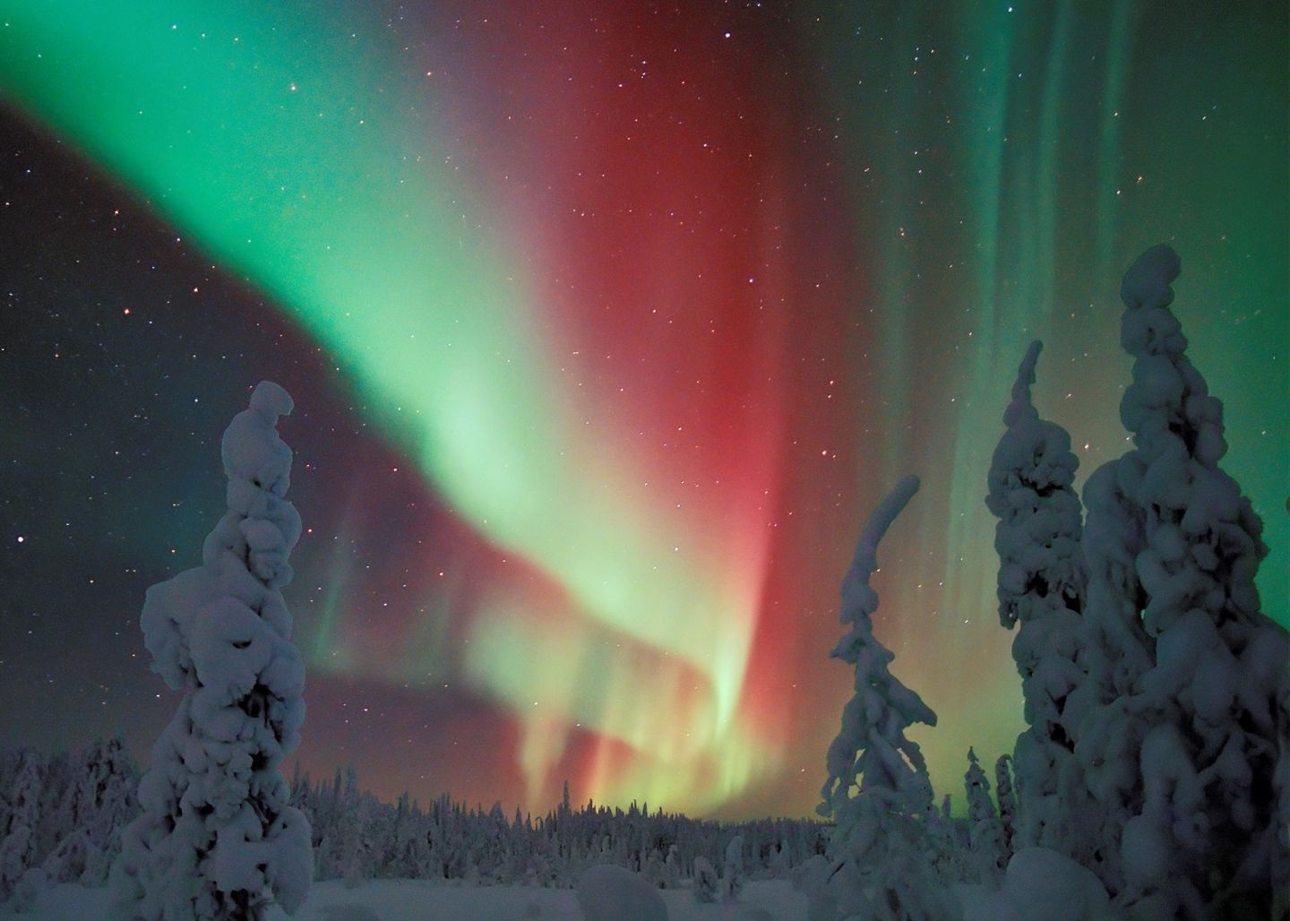 Auroras in Pudasjärvi, south of Lapland