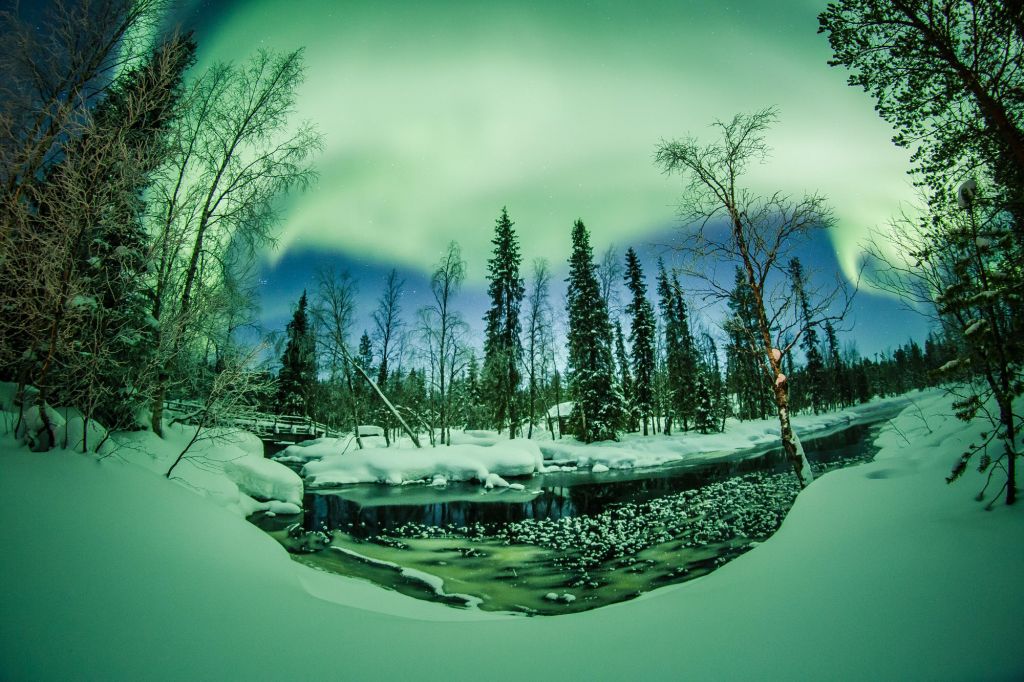 Fisheye Northern Lights & snow in Lapland