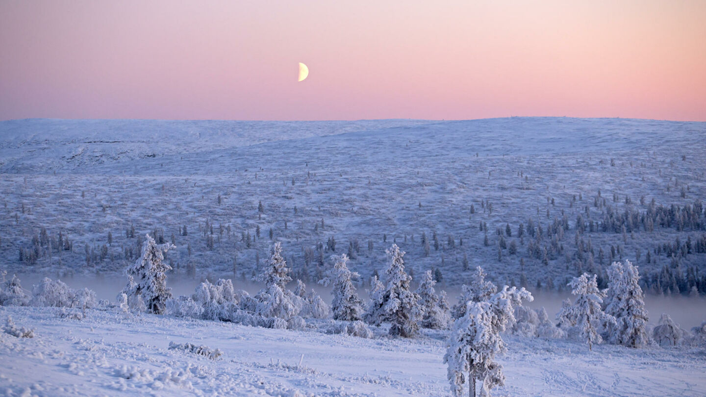 Filming Finland in Polar night means cinematic winter magic