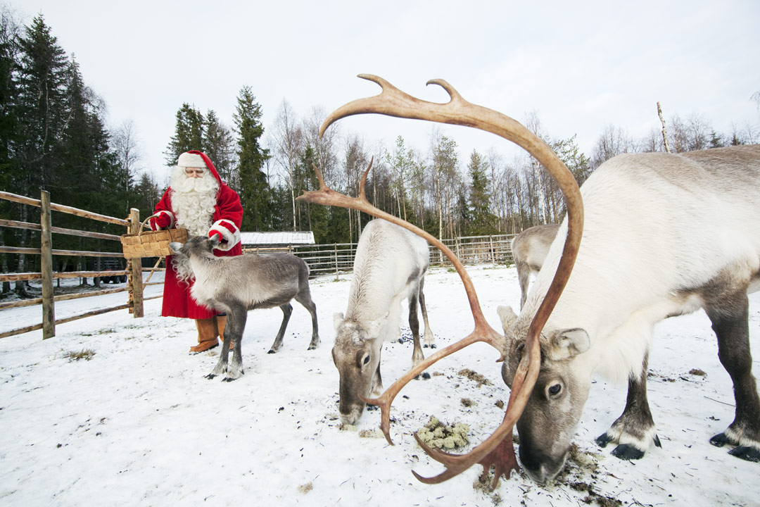 real santa and his reindeer