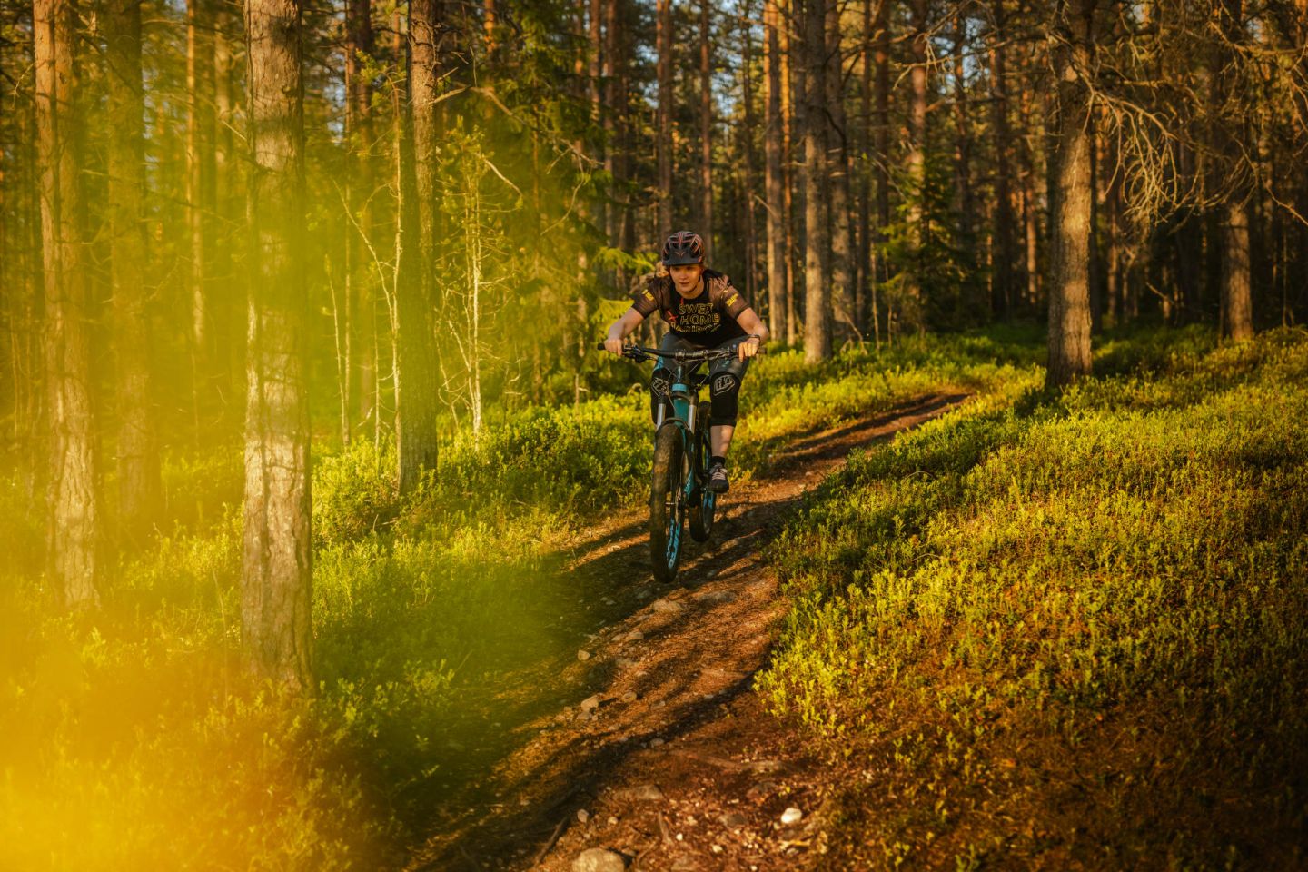 Biking with Lapland Safaris