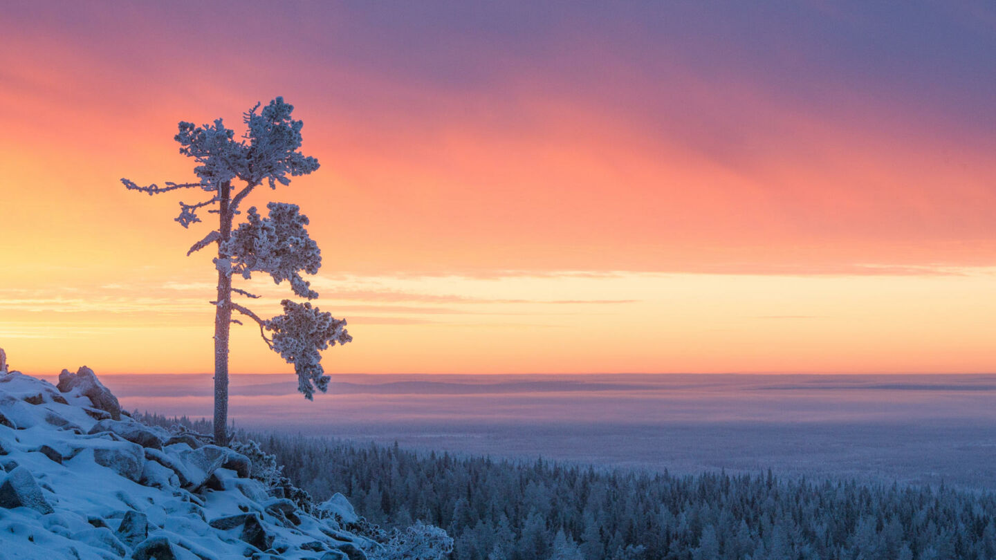Filming Finland in Polar night means cinematic winter magic