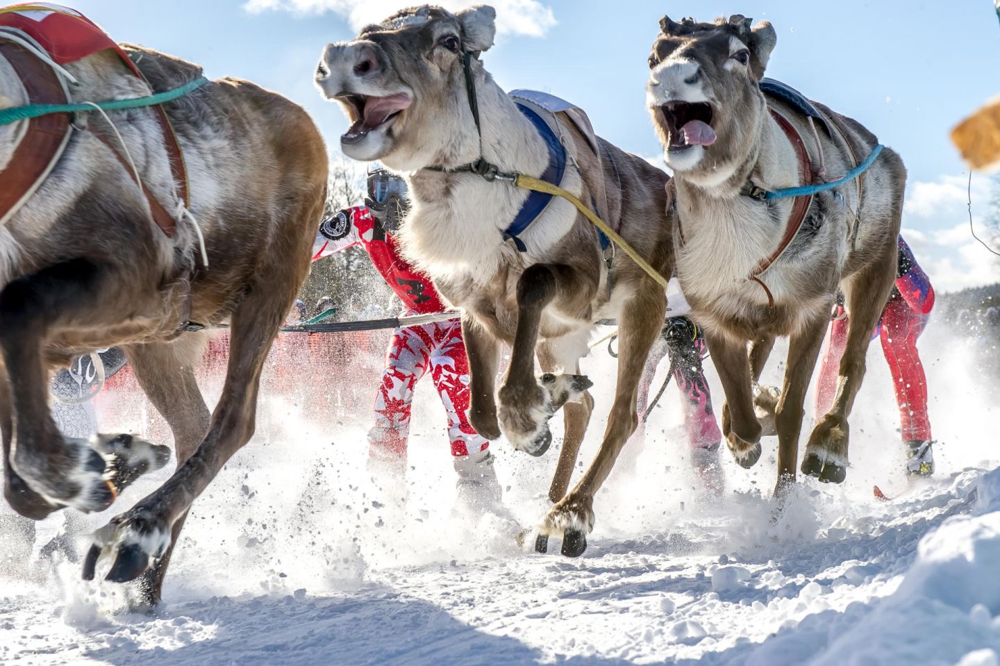 Lapland Home Of Santa Claus Visit Finnish Lapland