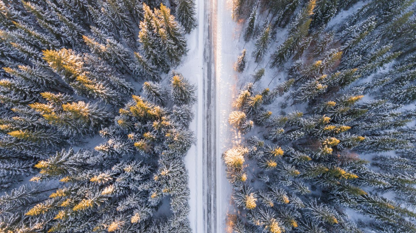 A snowy road cut through a pine forest, from above | Rental cars in Lapland