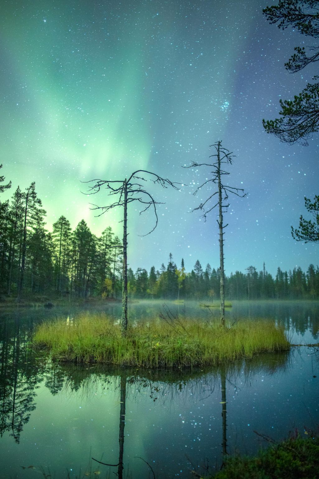 auroras over a lake in Lapland