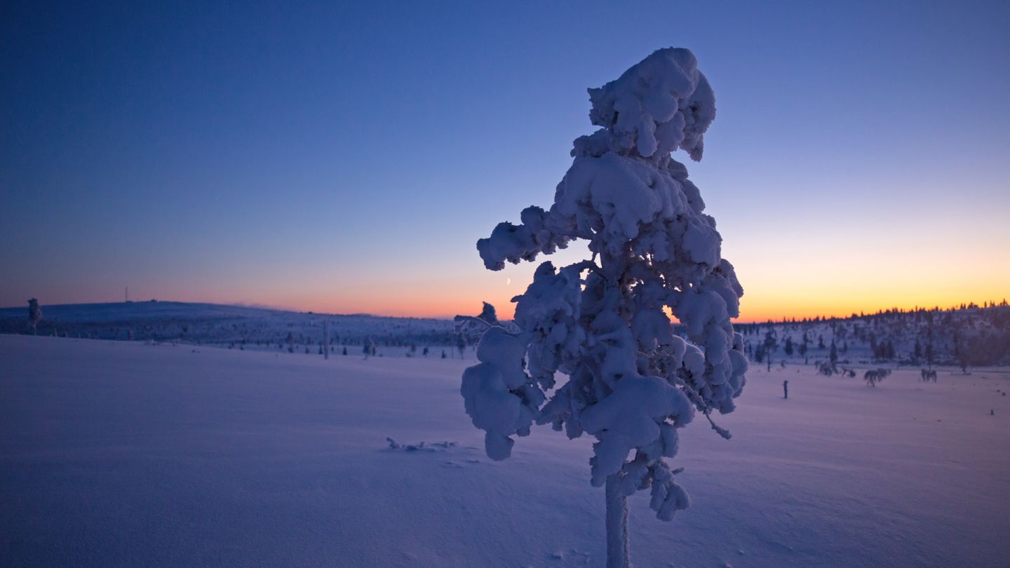 Blue moment, Polar Night colors