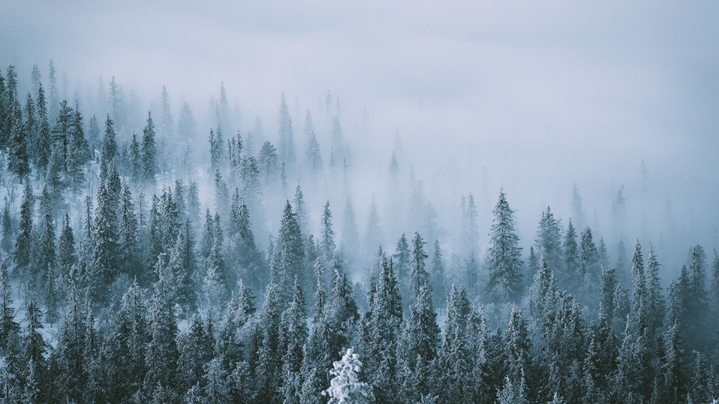 Polar-Night-Finnish-Lapland