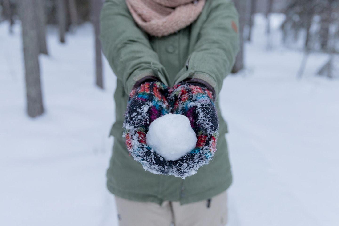 Snowball in Lapland