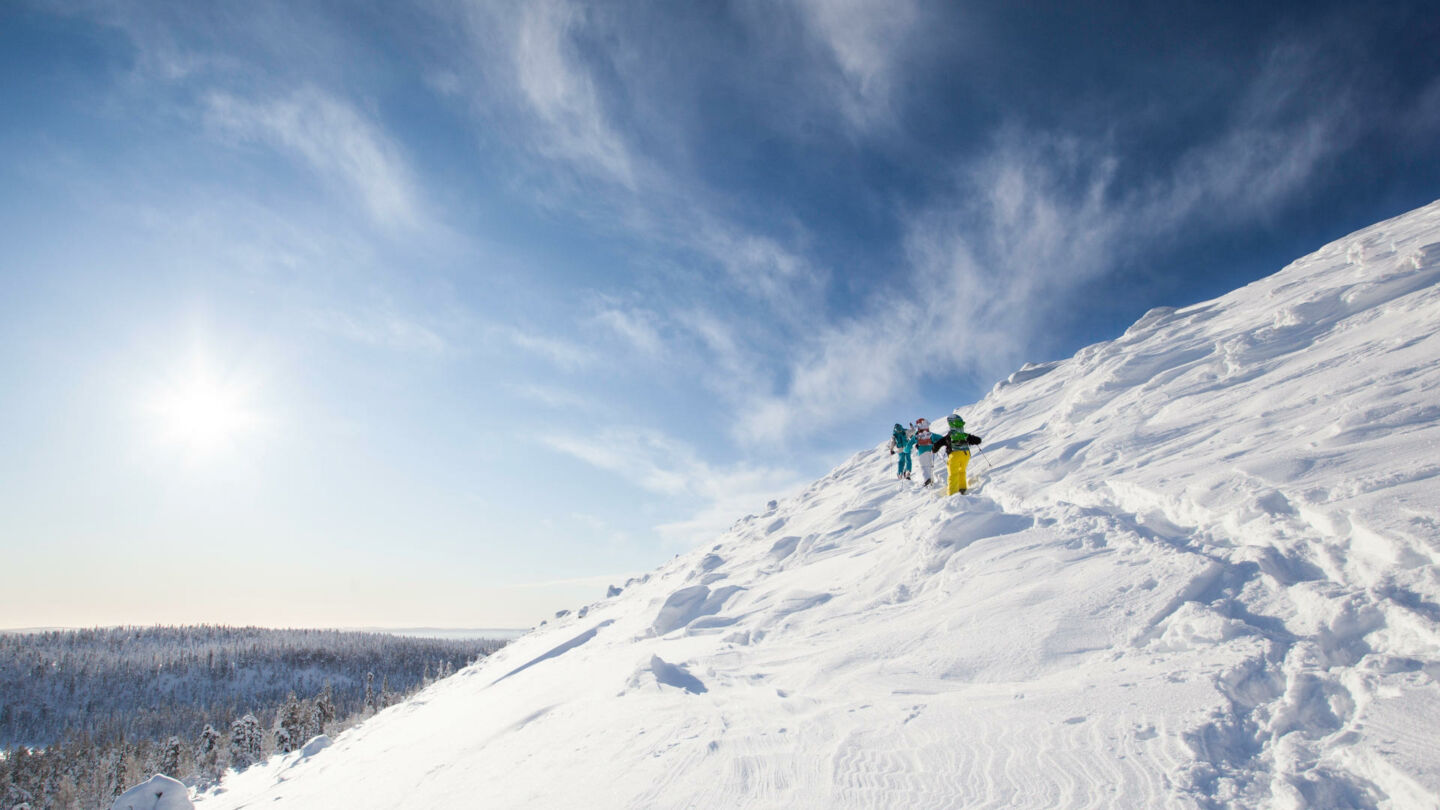 Snowshoers hike across a Lapland fell