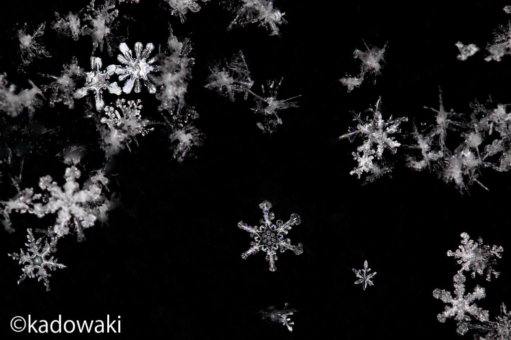 Snowflakes caught with a macro lens