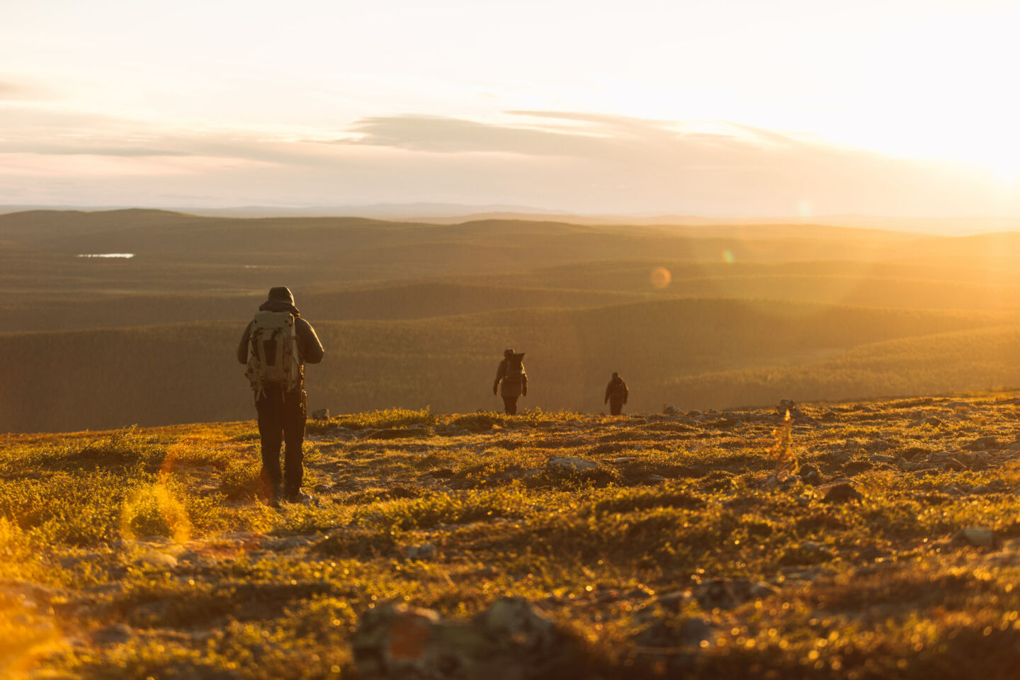 Midnight sun over Lemmenjoki National Parks in Inari-Saariselkä, Finland