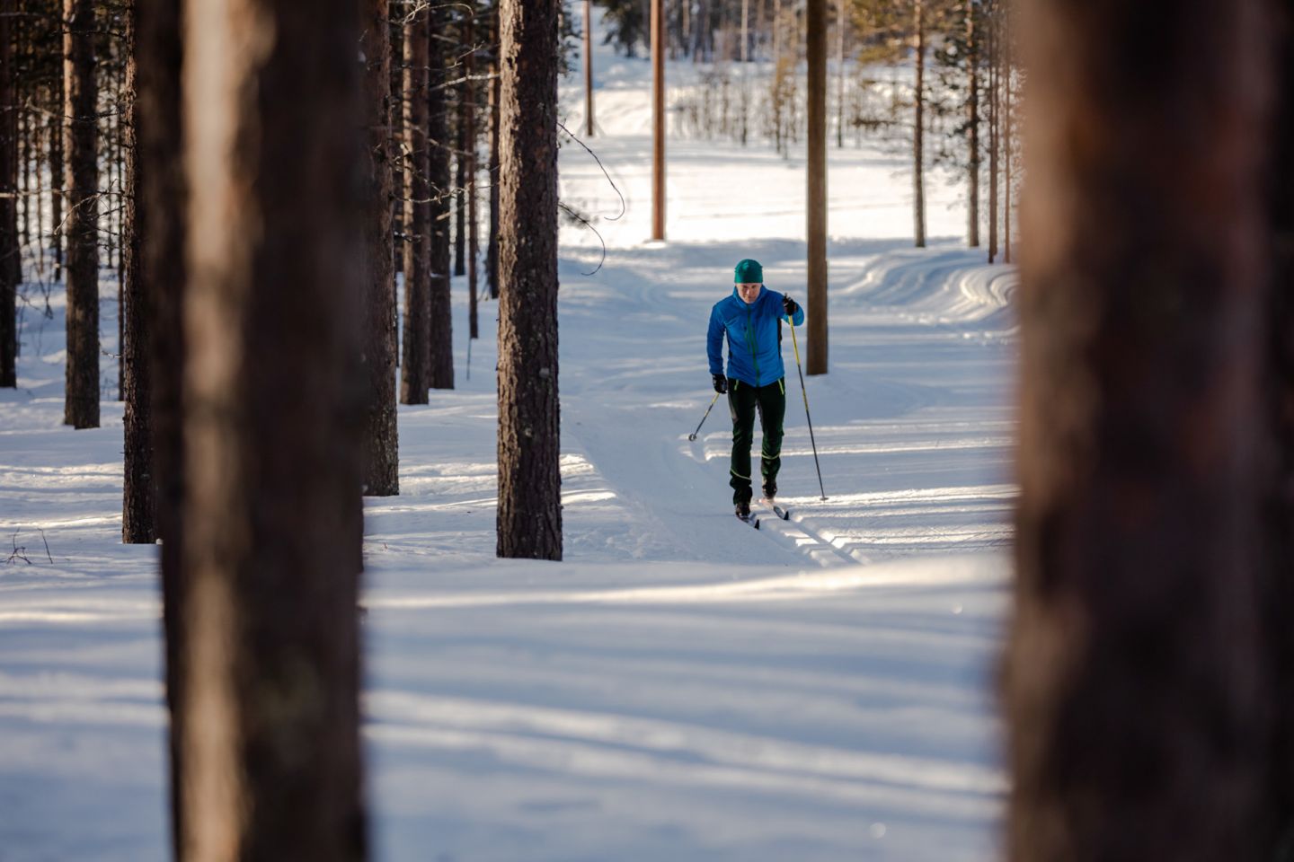 Cross-country skiing in Pyhä-Luosto, FInland