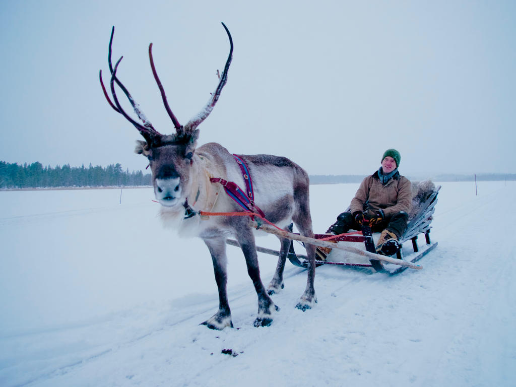 Production Gordon Buchanan filmed in Finnish Lapland