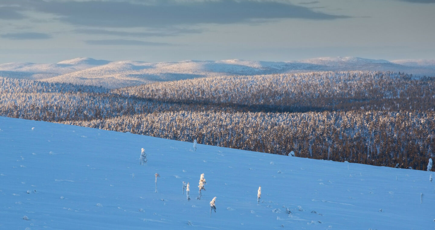 Lemmenjoki National Park in winter in Inari-Saariselkä, Finland