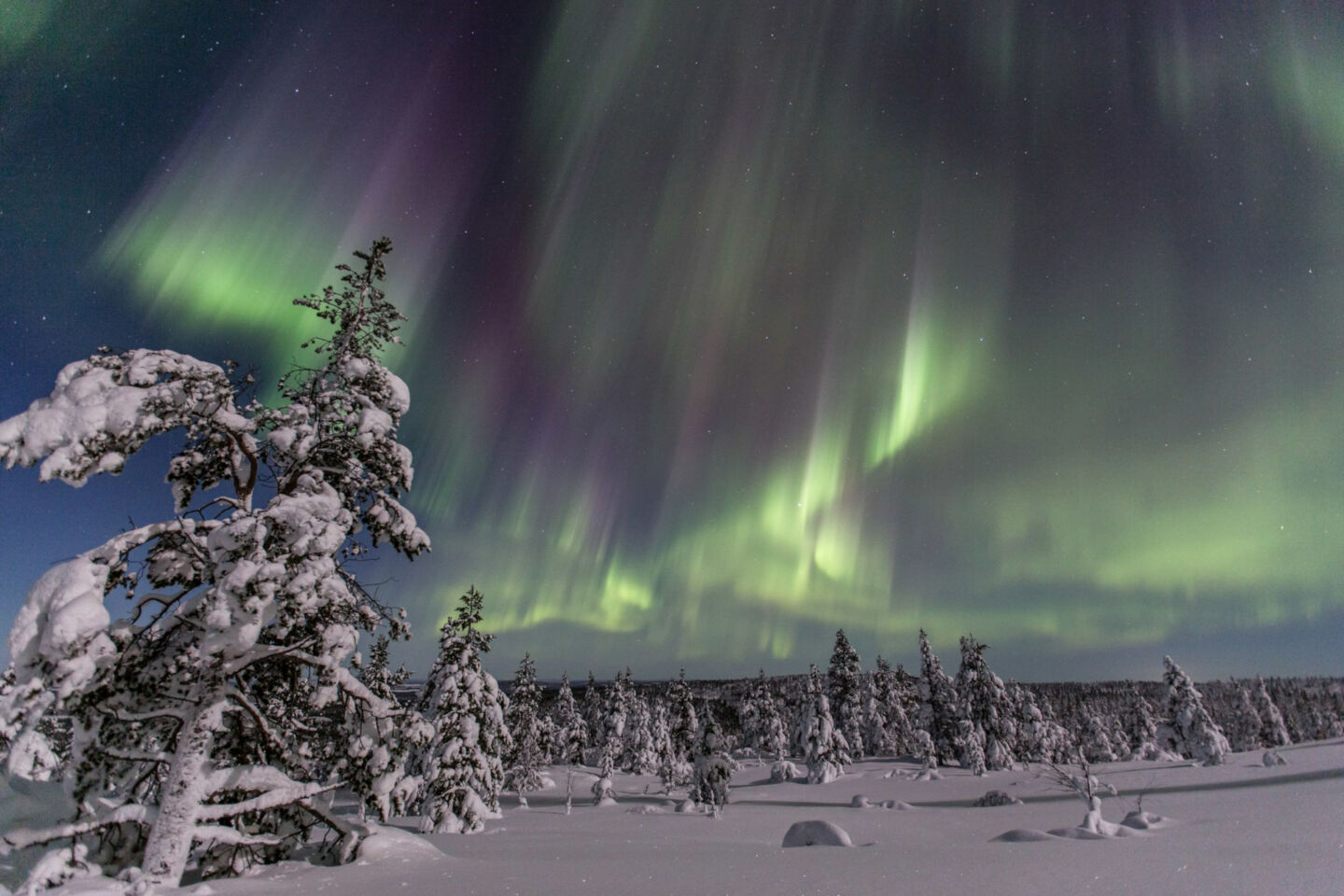 Aurora borealis over Inari-Saariselkä, Finland