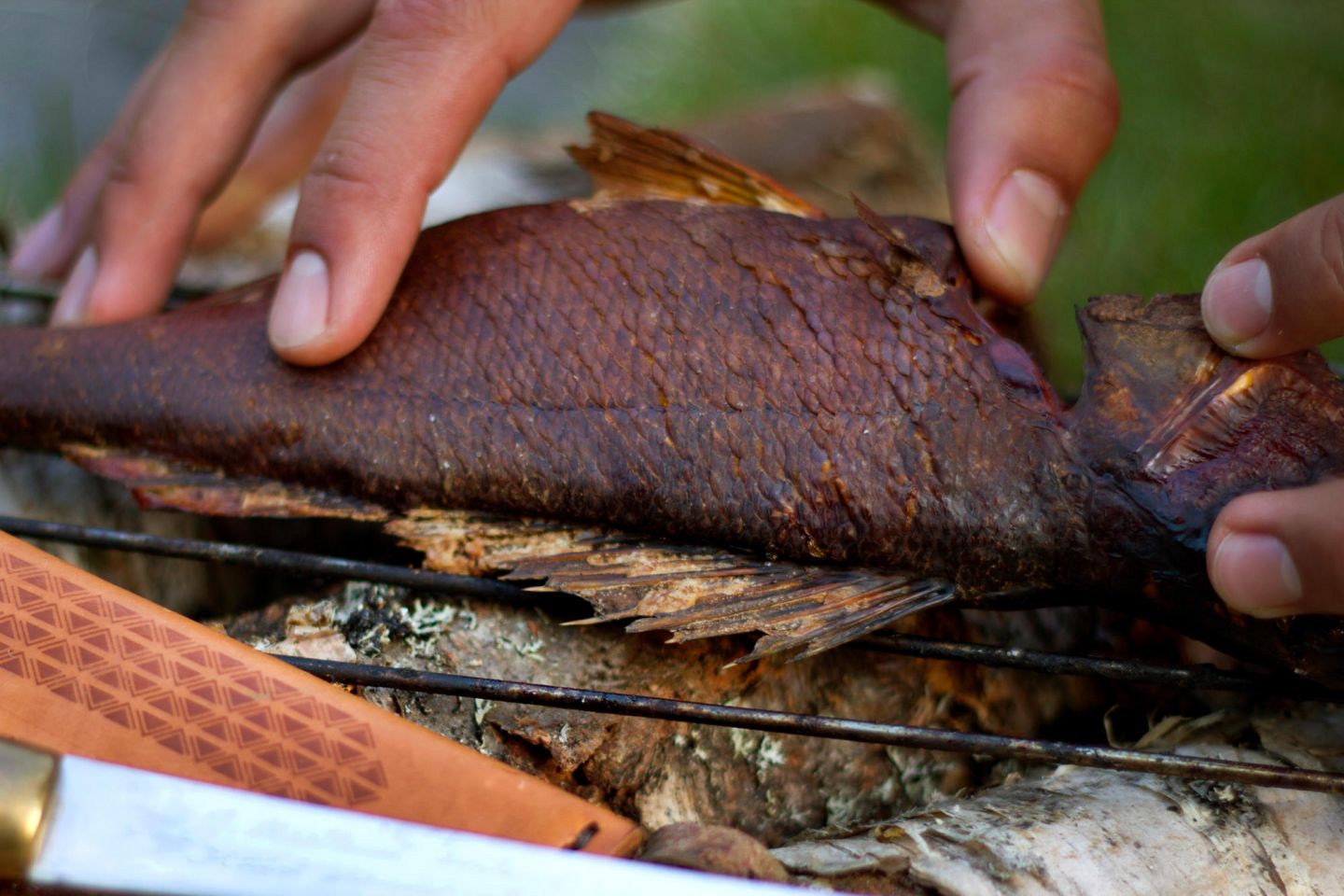 fried fish