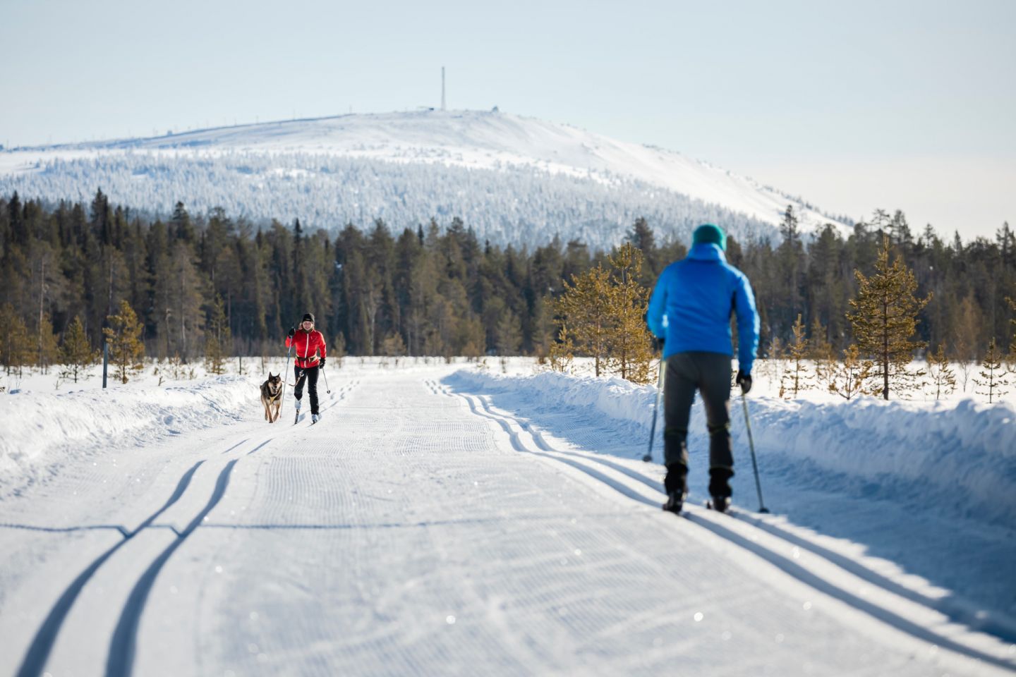 Cross-country skiing in Pyhä-Luosto, Finland