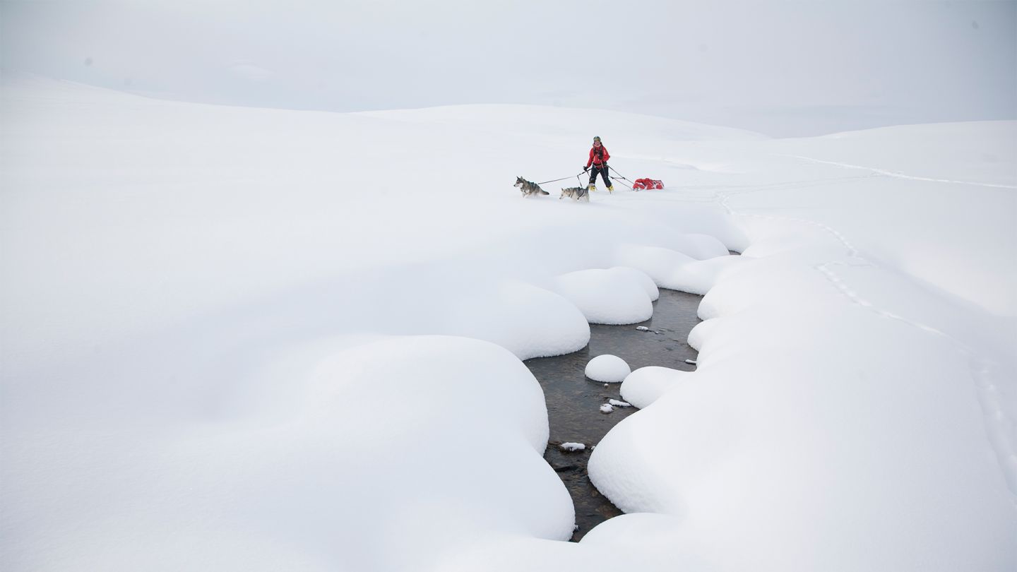 Skiing in Lapland, Finland